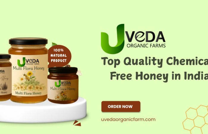 Top Quality Chemical-Free Honey in India – Taste the Purity