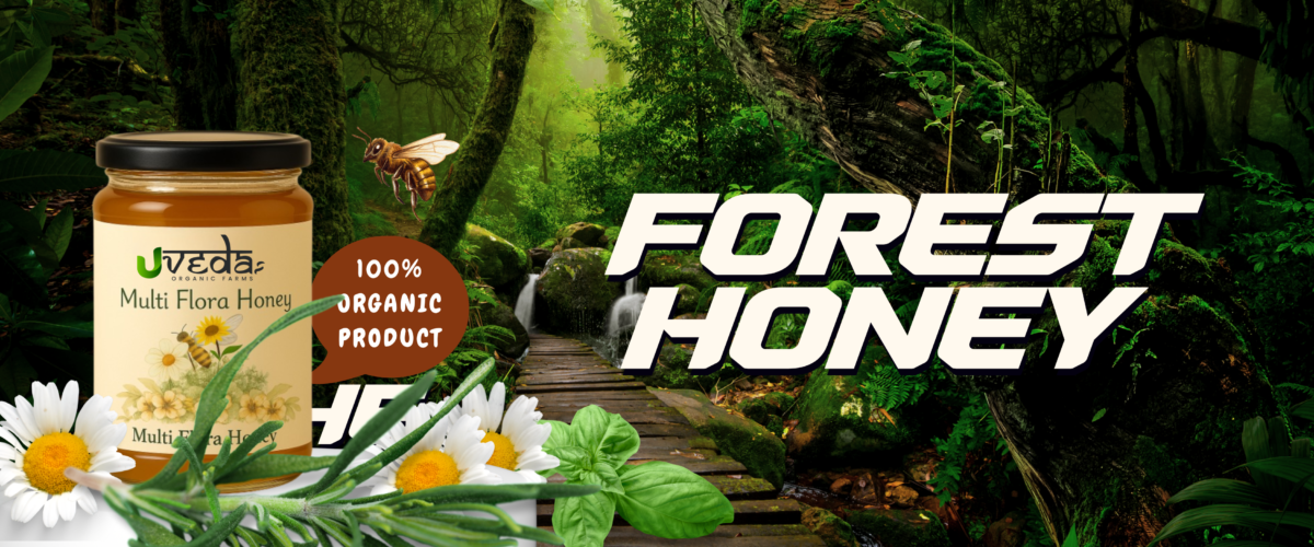 How Wild Forest Honey Boosts Immunity and Enhances Wellness