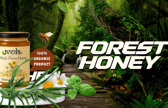 How Wild Forest Honey Boosts Immunity and Enhances Wellness