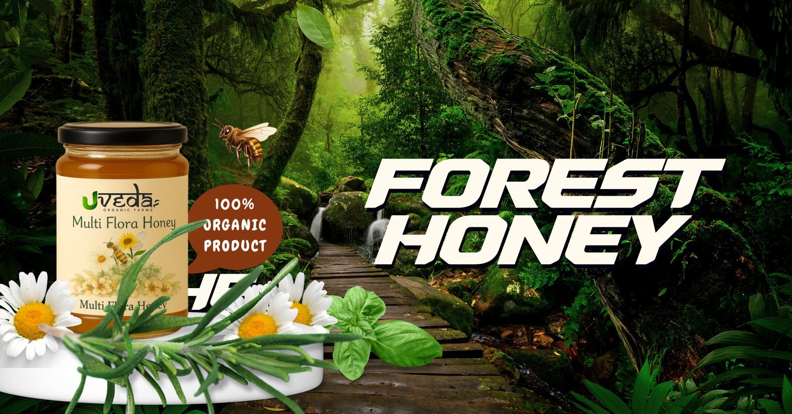 Wild Forest Honey Boosts Immunity