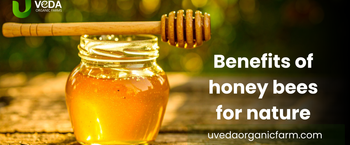 Why Honey Bees Are Important for the Environment | Benefits & Facts