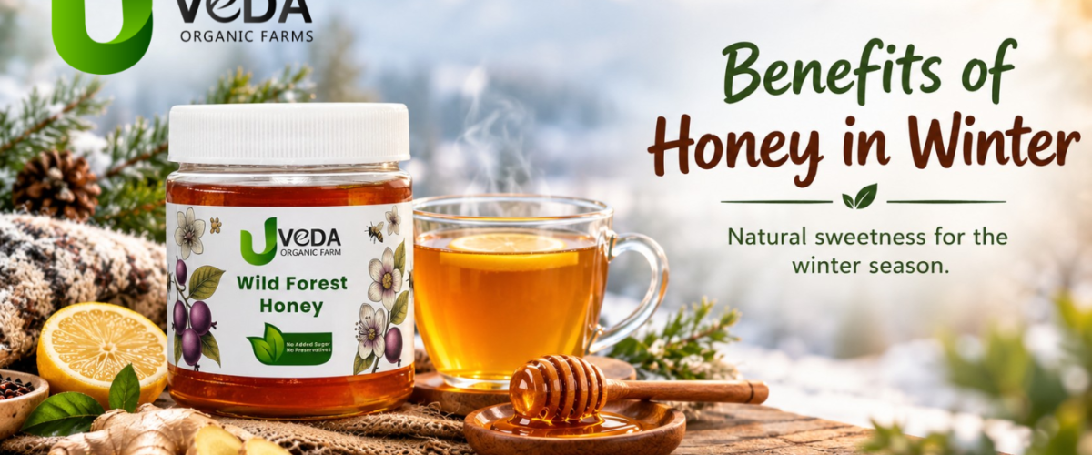Benefits of Honey in Winter: Why Honey Can Be a Good Winter Food